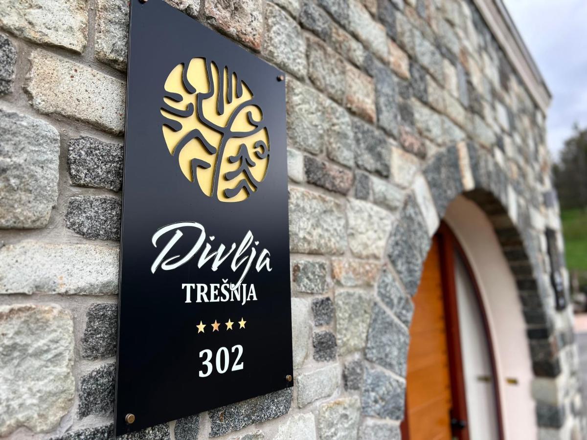 Toplik Village Resort Lukavica Exterior photo
